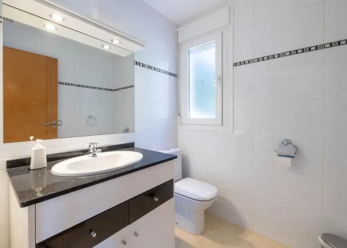 Merlin Willa Pollensa